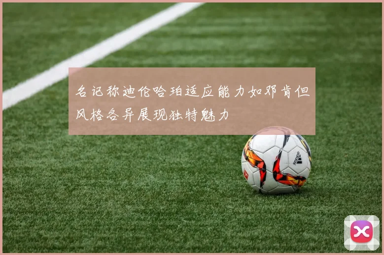 名记称迪伦哈珀适应能力如邓肯但风格各异展现独特魅力