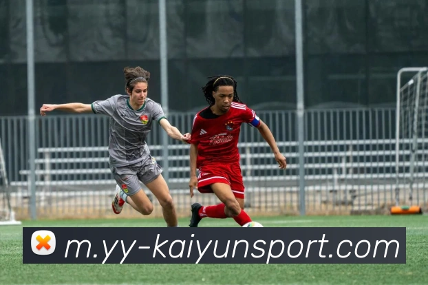 开云足球APP 封面图