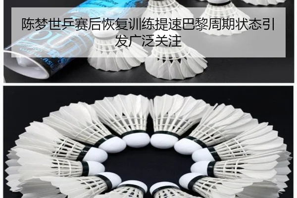 陈梦世乒赛后恢复训练提速巴黎周期状态引发广泛关注 | kaiyun